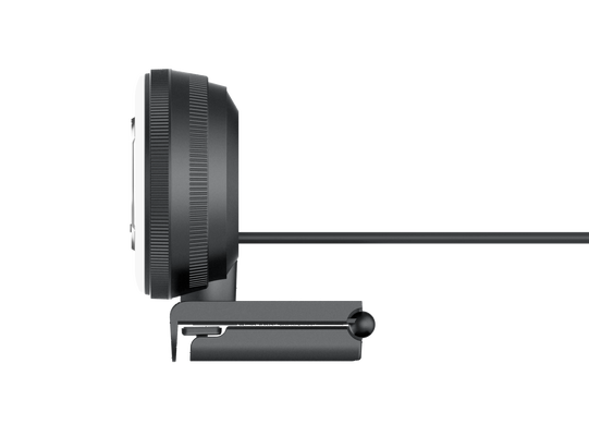 Besorgen Webcam mit Fülllicht und Stereo-Mikrofon für Online-Lehre und Streaming online manufacture