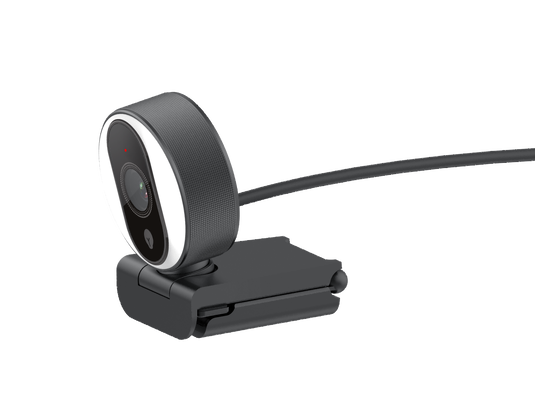 buy USB Webcam with Fill Light and Microphone for Online Teaching and Streaming online manufacture